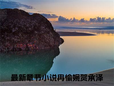 冉愉婉贺承泽(离婚后竹马霸总在线追妻)全文阅读无弹窗大结局_冉愉婉贺承泽免费阅读无弹窗最新章节列表