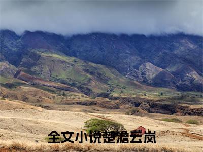 楚澹云岚（楚澹云岚）全文免费阅读无弹窗大结局_(楚澹云岚)楚澹云岚免费阅读无弹窗最新章节列表_笔趣阁（楚澹云岚）