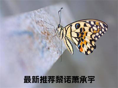 黎诺萧承宇（黎诺萧承宇）全文免费阅读无弹窗大结局_黎诺萧承宇免费阅读最新章节列表_笔趣阁（黎诺萧承宇）