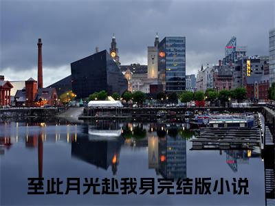 沈南意纪云深（至此月光赴我身）全文免费阅读无弹窗大结局_沈南意纪云深热门小说最新章节阅读