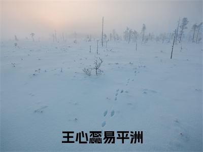 王心蕊易平洲(王心蕊易平洲)小说全文小说免费阅读_王心蕊易平洲最新章节列表笔趣阁