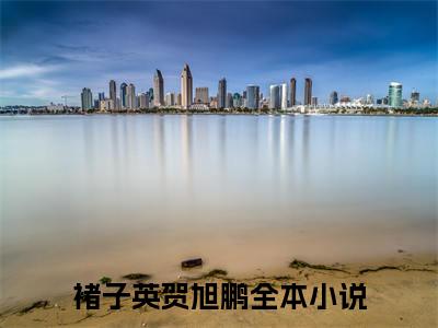 褚子英贺旭鹏新上热文小说讲的是什么-褚子英贺旭鹏全文完整版免费阅读