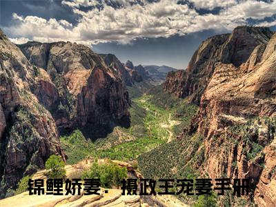 锦鲤娇妻：摄政王宠妻手册是秦慕修赵锦儿的小说_主角是锦鲤娇妻：摄政王宠妻手册免费阅读_锦鲤娇妻：摄政王宠妻手册小说免费阅读-笔趣阁