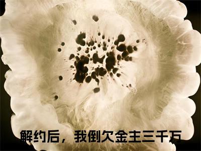 解约后，我倒欠金主三千万（林鸢裴翊全文在线阅读）-解约后，我倒欠金主三千万(林鸢裴翊)免费阅读（解约后，我倒欠金主三千万）