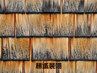 小说（解约后，我倒欠金主三千万）林鸢裴翊精选片段阅读-小说林鸢裴翊免费版最新更新阅读