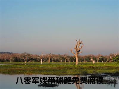 八零军嫂带球跑小说免费阅读 徐雅芝雷锋庭全文无弹窗试读