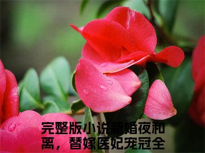 沐云姝容九思(新婚夜和离，替嫁医妃宠冠全京城)全文免费阅读无弹窗大结局_(新婚夜和离，替嫁医妃宠冠全京城)沐云姝容九思全文免费完结版阅读(新婚夜和离，替嫁医妃宠冠全京城)