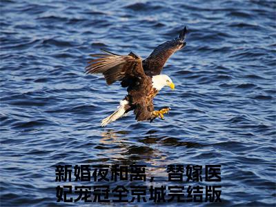 新婚夜和离，替嫁医妃宠冠全京城（沐云姝容九思）全文免费阅读无弹窗大结局_沐云姝容九思完整版小说阅读（新婚夜和离，替嫁医妃宠冠全京城）