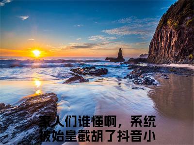 黎姜嬴政小说免费阅读 家人们谁懂啊，系统被始皇截胡了完整版全文大结局