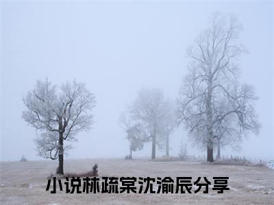 林疏棠沈渝辰小说免费(林疏棠沈渝辰)全文免费阅读无弹窗（林疏棠沈渝辰小说）最新章节列表_笔趣阁