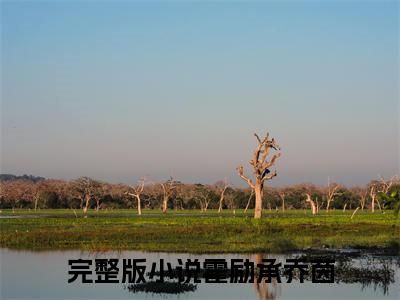 （霍励承乔茵）小说全文免费阅读-微小说（霍励承乔茵）完整版阅读