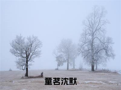 童茗沈默（童茗沈默）小说在线阅读-最新小说童茗沈默全文阅读