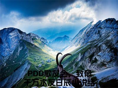 PDD歌友会，致郁千万水友白辰（PDD歌友会，致郁千万水友白辰）小说全文无删减-PDD歌友会，致郁千万水友白辰小说免费阅读大结局