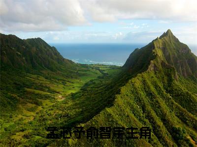 孟芯予俞智宇免费阅读结局孟芯予俞智宇无弹窗全本免费阅读