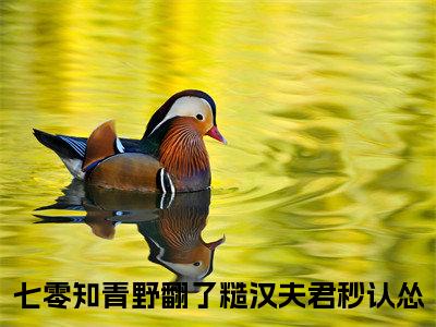 七零知青野翻了糙汉夫君秒认怂（岑曦薛邶）全文免费阅读无弹窗大结局_七零知青野翻了糙汉夫君秒认怂小说免费最新章节列表_笔趣阁