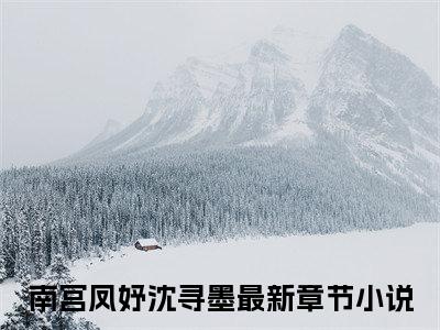 南宫凤妤沈寻墨(南宫凤妤沈寻墨)全文免费阅读无弹窗大结局_(南宫凤妤沈寻墨免费阅读全文大结局)南宫凤妤沈寻墨最新章节列表_笔趣阁（南宫凤妤沈寻墨）