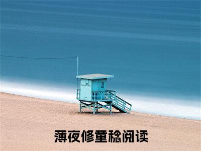 薄夜修童稔(薄夜修童稔小说)全文免费阅读无弹窗大结局_薄夜修童稔小说免费阅读最新章节列表_笔趣阁（薄夜修童稔小说）