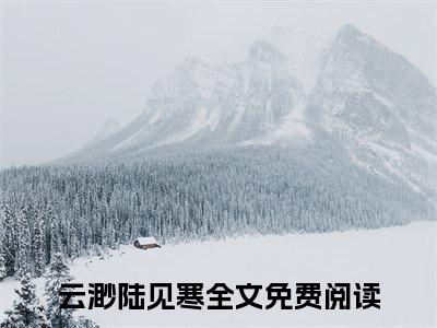 云渺陆见寒正版小说全文阅读-小说推荐云渺陆见寒精彩章节全文阅读