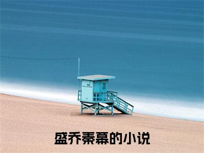 盛乔秦幕（盛乔秦幕）高收藏小说在线阅读-盛乔秦幕阅读结局