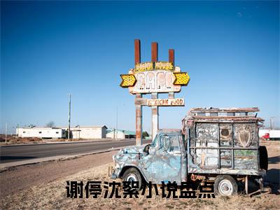 谢停沈絮无删减（谢停沈絮）全文免费阅读无弹窗大结局_谢停沈絮最新章节列表（谢停沈絮）