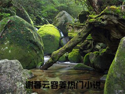 谢暮云容姜热门言情小说推荐阅读，（谢暮云容姜）在哪免费看