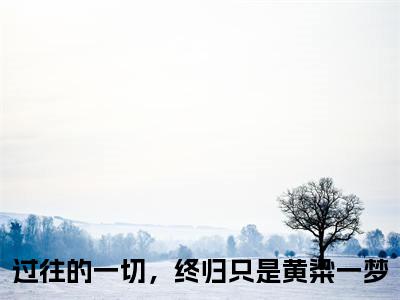 过往的一切，终归只是黄粱一梦小说全文大结局-过往的一切，终归只是黄粱一梦（白离林恒宣）小说全文免费阅读