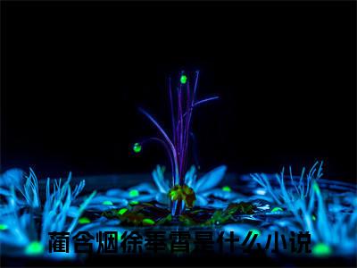 主角为蔺含烟徐奉霄的小说叫什么-最新小说全文阅读