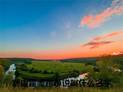 主角为舒虞霍闻檀的小说（记住你的身份，你只是一个替身）无弹窗大结局-最新小说记住你的身份，你只是一个替身全文阅读最新章节列表_笔趣阁