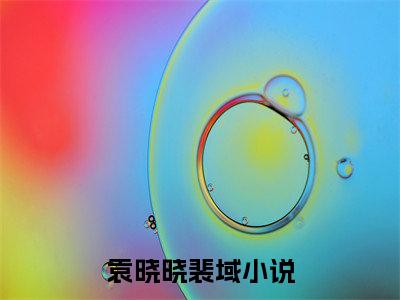 这几年的情爱，好像都错付了（袁晓晓裴域）全文免费阅读无弹窗大结局_袁晓晓裴域全文阅读_笔趣阁（这几年的情爱，好像都错付了）