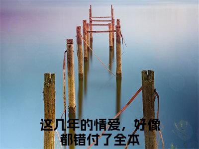 这几年的情爱，好像都错付了长篇免费小说，袁晓晓裴域最新章节在线阅读