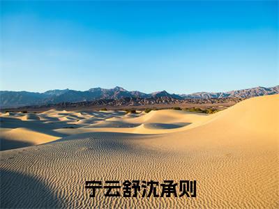 宁云舒沈承则（完整版）小说推荐-宁云舒沈承则热文小说这段感情里，是她还不够清醒免费阅读全文