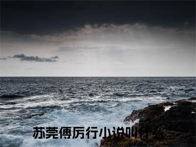 快手热推免费新书苏莞傅厉行小说全文完整版-苏莞傅厉行完整版全文在线赏析