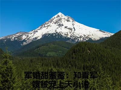 【新书】《军婚甜蜜蜜：知青军嫂被宠上天》全文免费阅读无弹窗大结局-沈安念秦正祁 全文全章节免费阅读