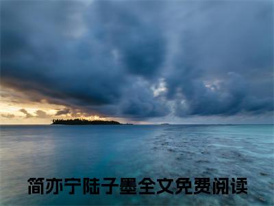 简亦宁陆子墨小说（情意难负浓）全文免费阅读大结局无删减_（情意难负浓）简亦宁陆子墨小说最新章节列表_笔趣阁（情意难负浓）