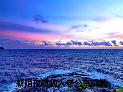 新婚夜植物人老公亲哭我（霍时深顾南娇）爽文小说全文阅读-新婚夜植物人老公亲哭我最新章节更新