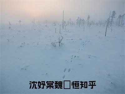 沈妤棠魏璟恒精选热门小说-沈妤棠魏璟恒免费全文阅读