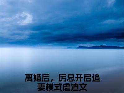 厉斯珩秦笙全文免费阅读大结局-离婚后，厉总开启追妻模式完整版无弹窗