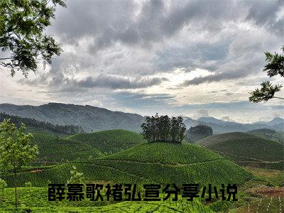 薛慕歌褚弘宣小说全文-薛慕歌褚弘宣小说免费阅读大结局