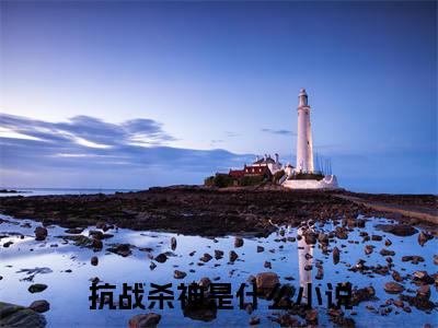 林明（抗战杀神）全文免费阅读无弹窗大结局_（抗战杀神）林明最新章节列表