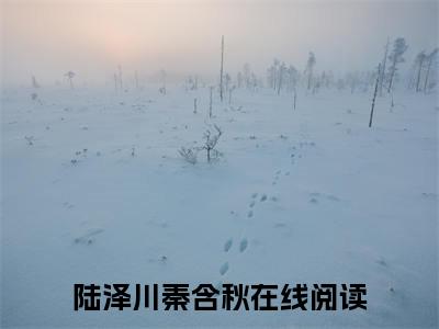 陆泽川秦含秋全文免费阅读无弹窗大结局_ 陆泽川秦含秋最新章节列表笔趣阁
