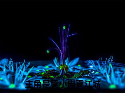莫小冉夏江城(莫小冉夏江城)全文免费阅读无弹窗大结局_莫小冉夏江城最新章节列表
