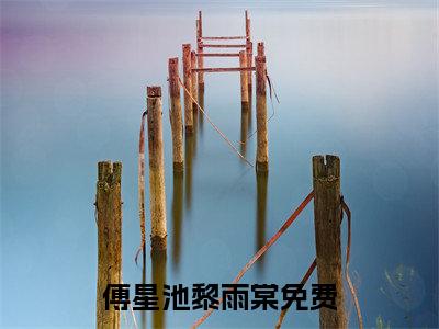(抖音小说)傅星池黎雨棠免费阅读傅星池黎雨棠在线阅读大结局