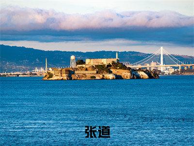 穿越：从青云寨山贼头子开始（张道）免费阅读完整版-（穿越：从青云寨山贼头子开始小说）张道全文大结局已完结