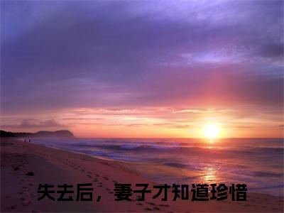 周梦蝶夏初阳全文免费阅读无弹窗大结局-周梦蝶夏初阳失去后，妻子才知道珍惜 全文全章节免费阅读