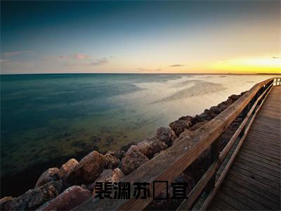 裴渊苏姈宜全文免费阅读无弹窗大结局_(裴渊苏姈宜免费阅读)裴渊苏姈宜最新章节列表_笔趣阁