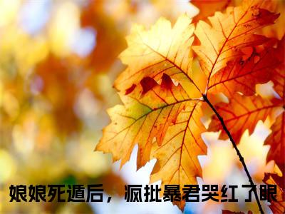 叶晚棠谢韫臣(娘娘死遁后，疯批暴君哭红了眼)小说全文免费阅读无弹窗大结局_叶晚棠谢韫臣最新章节列表
