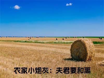江逸许静抖音新书热荐 -农家小炮灰：夫君要和离全文在线赏析（江逸许静）