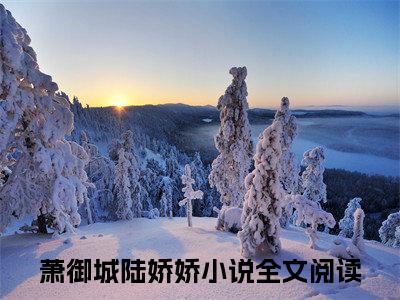 萧御城陆娇娇最新章节（穿书七零：炮灰摇身变福娃嫁军官小说）全文免费阅读无弹窗大结局_穿书七零：炮灰摇身变福娃嫁军官小说免费阅读（萧御城陆娇娇）