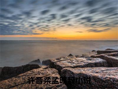 许音柔孟明辞小说完整版全文在线赏析-完结版小说（许音柔孟明辞）