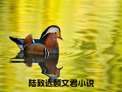 主角是陆致远顾文君的小说叫什么名字陆致远顾文君-老书虫书荒推荐热点小说（陆致远顾文君）